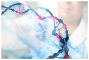 DNA-In SY5Y細胞轉染試劑現貨供應 美國GlobalStem品牌產品解析